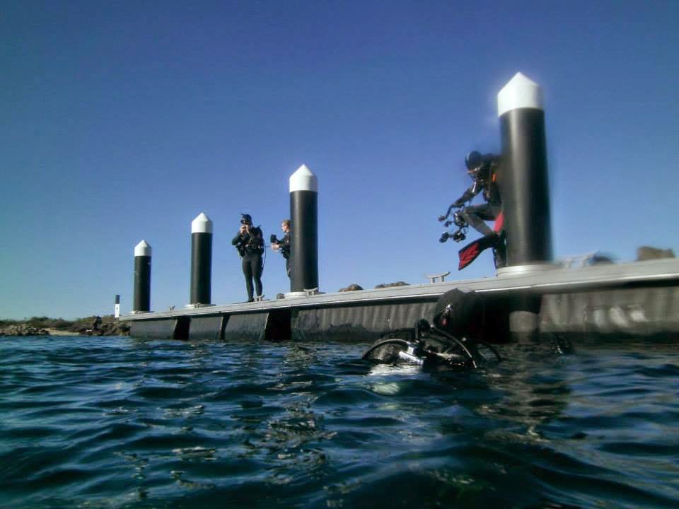 2 Aussie Renegades Swansea bridge dive