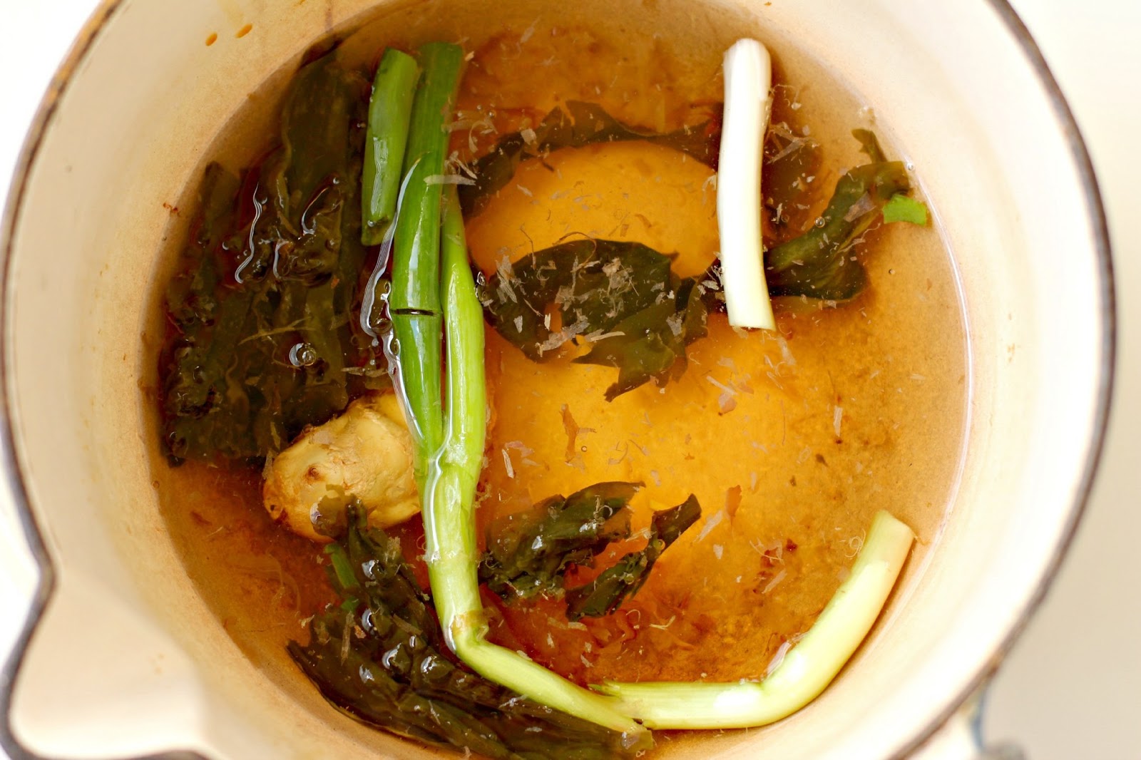 Milk and Honey Buckwheat Soba Noodles in Ginger Broth with Grilled Beancurd