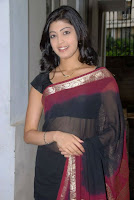 Pranitha, Hot, Saree, Pics