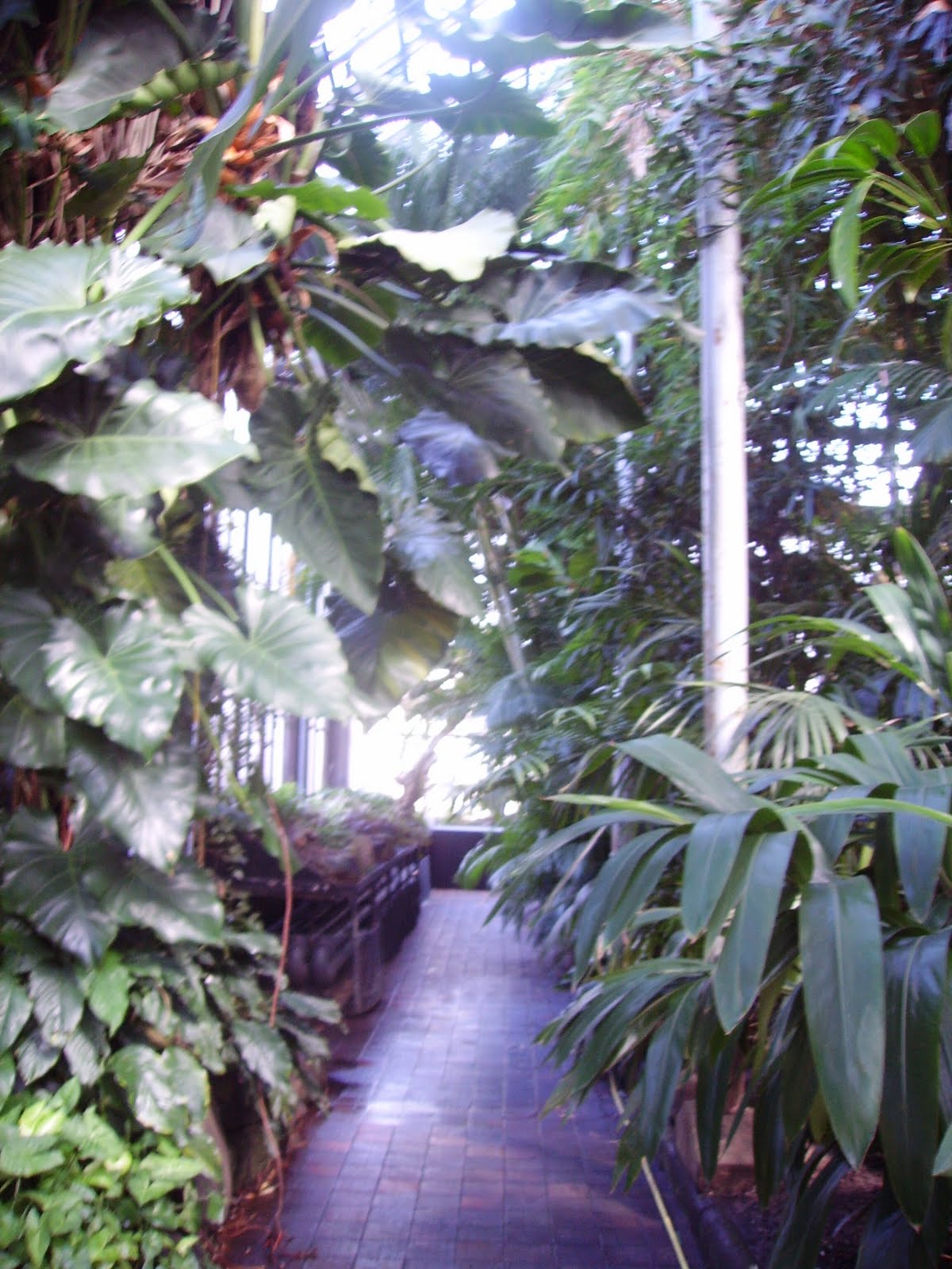 Garden Kate Glasgow Botanic Gardens