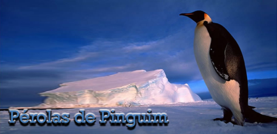 Pérolas do Pinguim