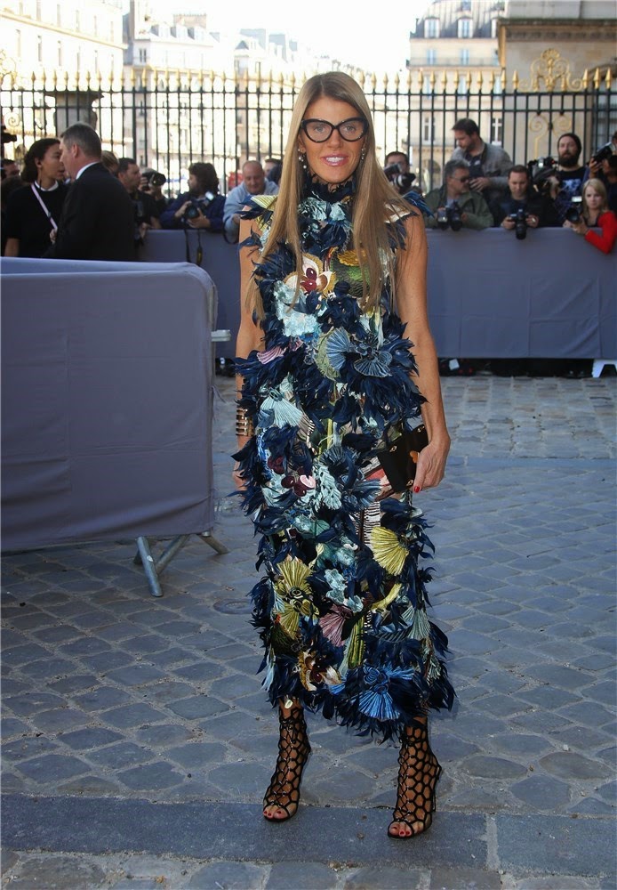 Anna Dello Russo de Dior - Paris Fashion Week 2014 Anna Dello Russo de Dior - Paris Fashion Week 2014