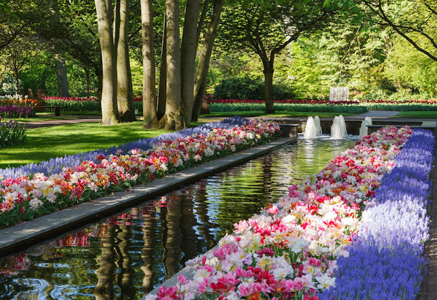 dynamic views beautiful spring