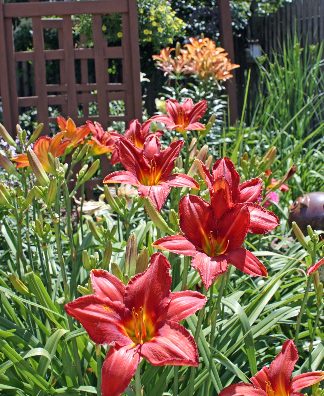 Gatsbys Gardens Do You Have A Butterfly Garden?