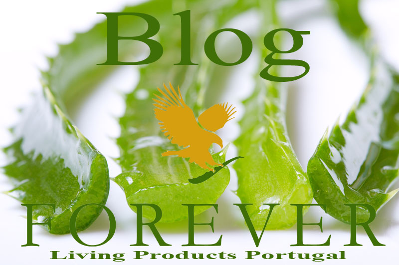 Blog FLP Portugal