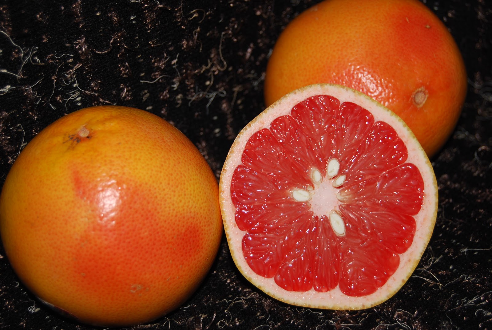 Helen A. Lockey It's Florida Red Grapefruit Season
