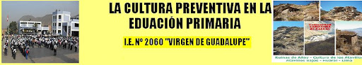 LA CULTURA PREVENTIVA EN EDUCACION PRIMARIA