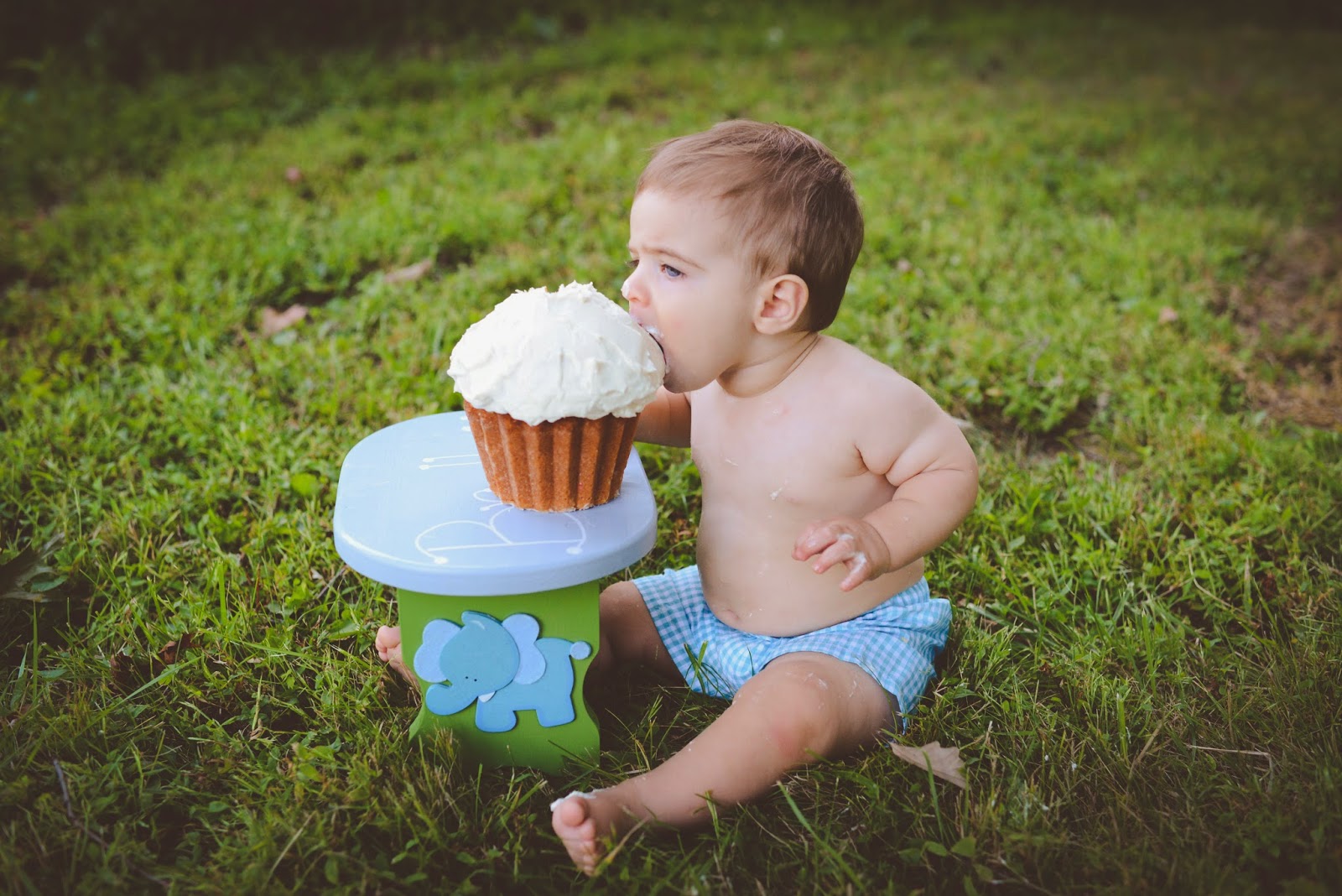 The Savvy Kitchen Giant Vanilla Cupcake with Buttercream Frosting (and
