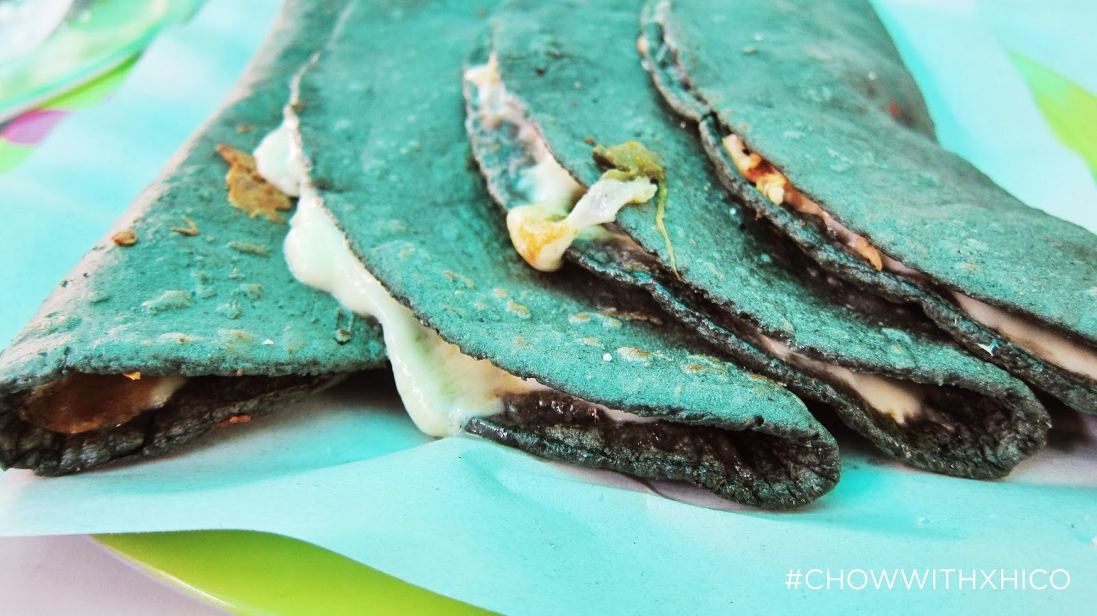 Chow with Xhico True Blue Tortillas I Love You