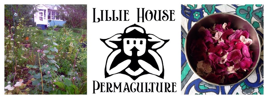 Lillie House Permaculture