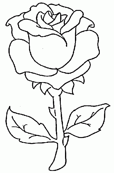 Rosa Para Colorir - Dezenas de Desenhos Para Pintar