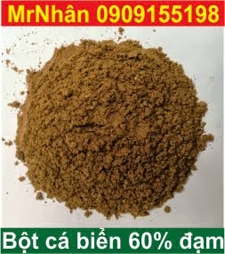 Bột Cá Biển 60% Đạm