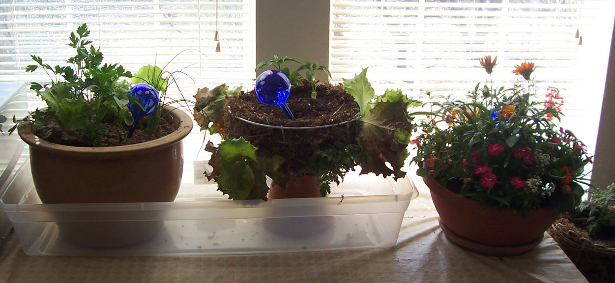 World+map+printable+free