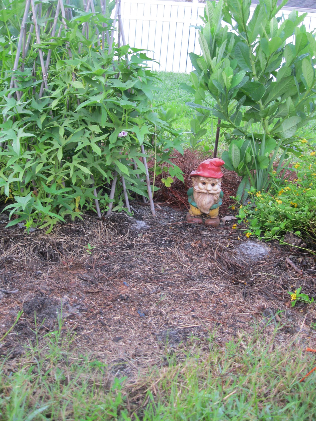 Maple Hill 101: Got Mulch?