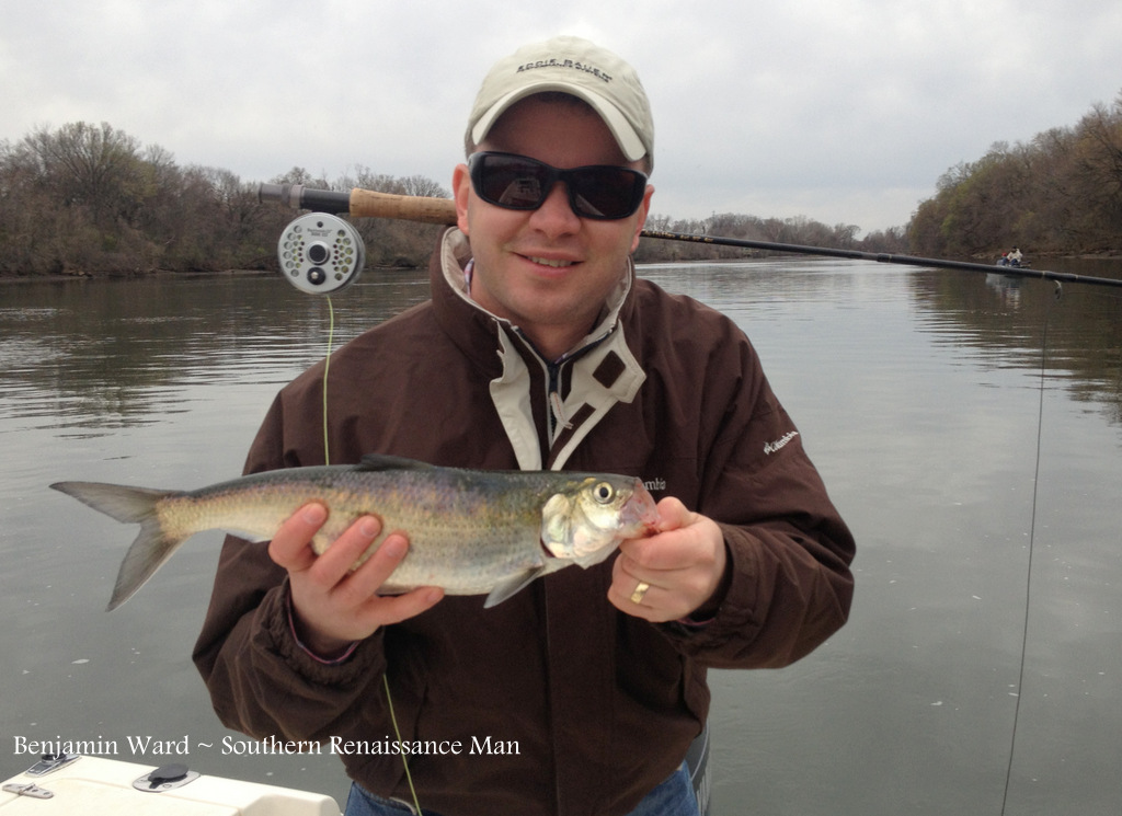 Southern Renaissance Man James River VA Shad Fishing Report April