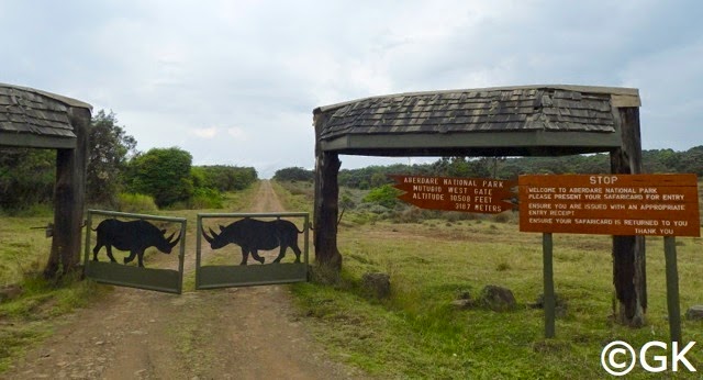 15. Februar 2014, Aberdare National Park
