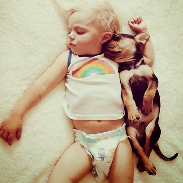 Theo & Beau, puppies sleeping with baby