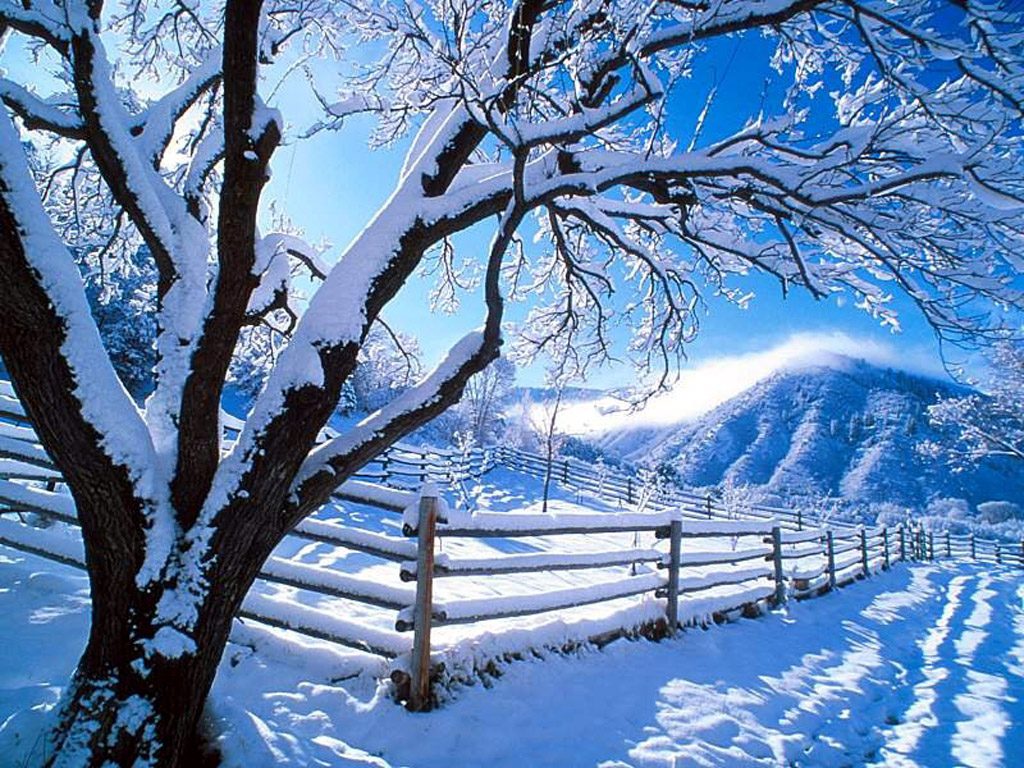 http://1.bp.blogspot.com/-gE7QrxGANz8/TVYmlIXNByI/AAAAAAAAAv4/P0qc_KcsE_Q/s1600/nature-wallpaper-snow-wallpaper-1024x768.jpg