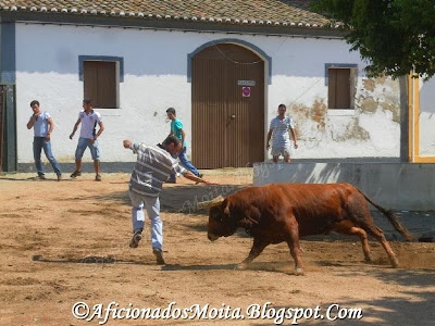 https://picasaweb.google.com/112628067891720623695/AssumarMonforteLargadaDeToirosReportagemFotograficaP114h00030913#slideshow/5967832738715318818