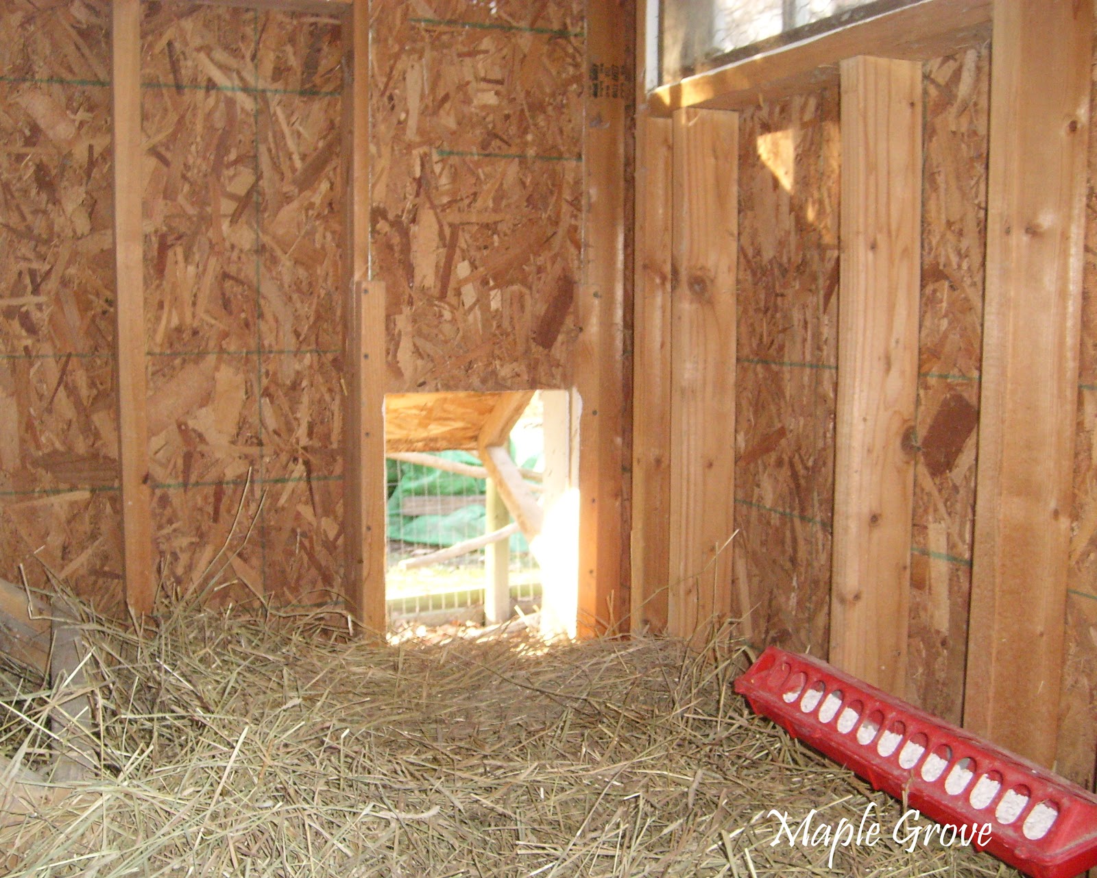 Maple Grove: Cleaning the Hen House