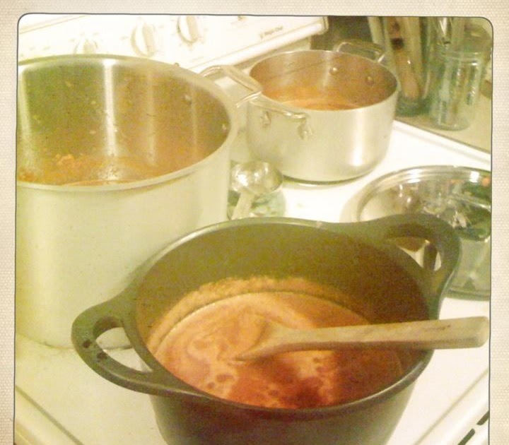 Sustainable Food for Thought Homemade Honey Sweetened Ketchup