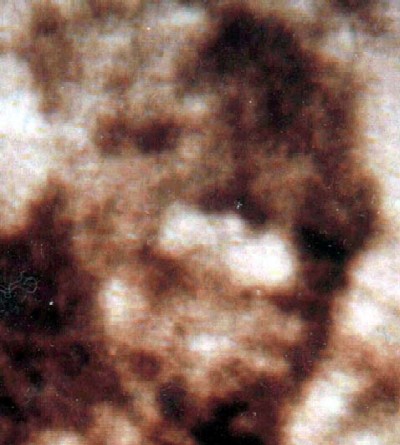 Bigfoot Patterson Film