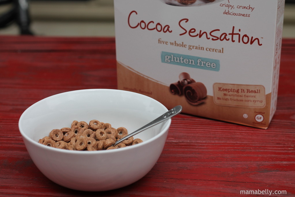 Mamabelly's Lunches With Love Van's Cereal Review {and Giveaway}