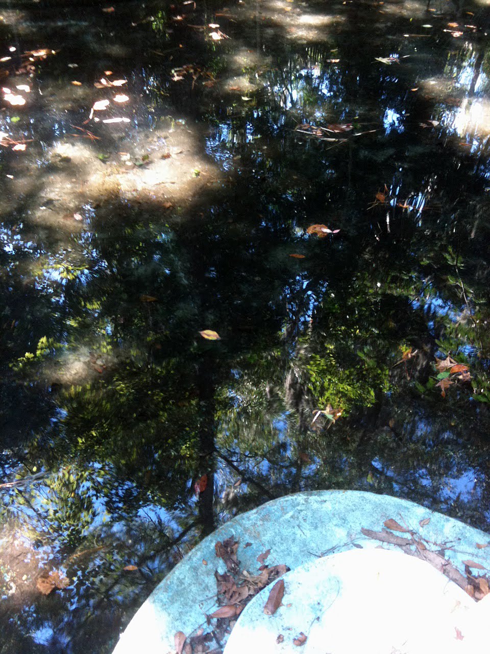 Old Florida Gainesville's Glen Springs