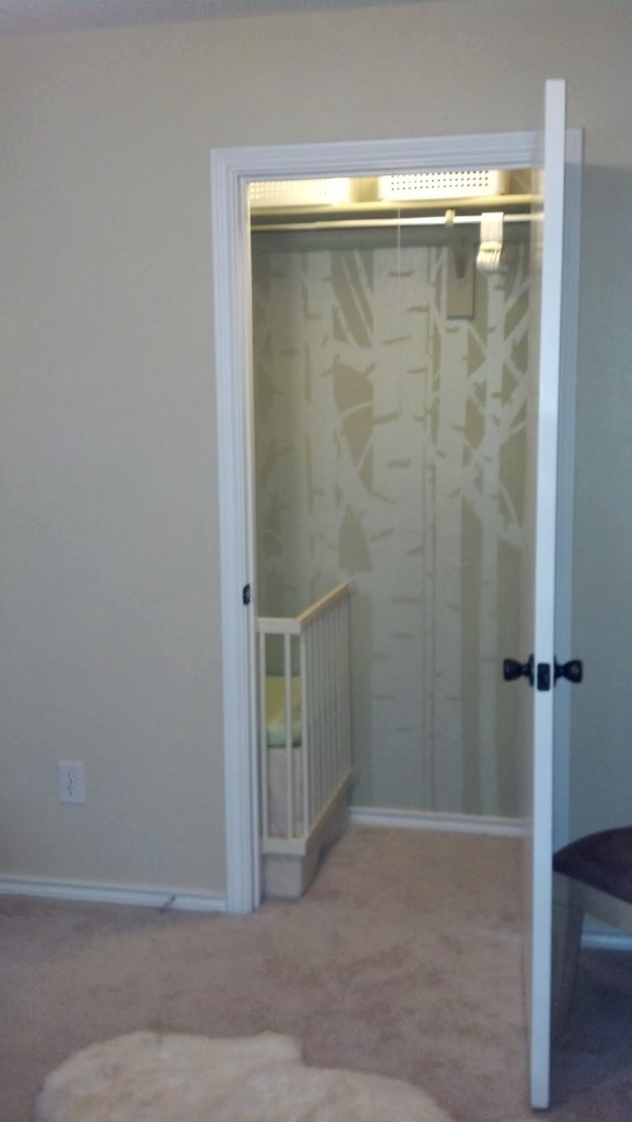 Fix Lovely How I made my closet into a nursery