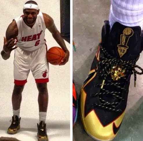 lebron james miami heat shoes