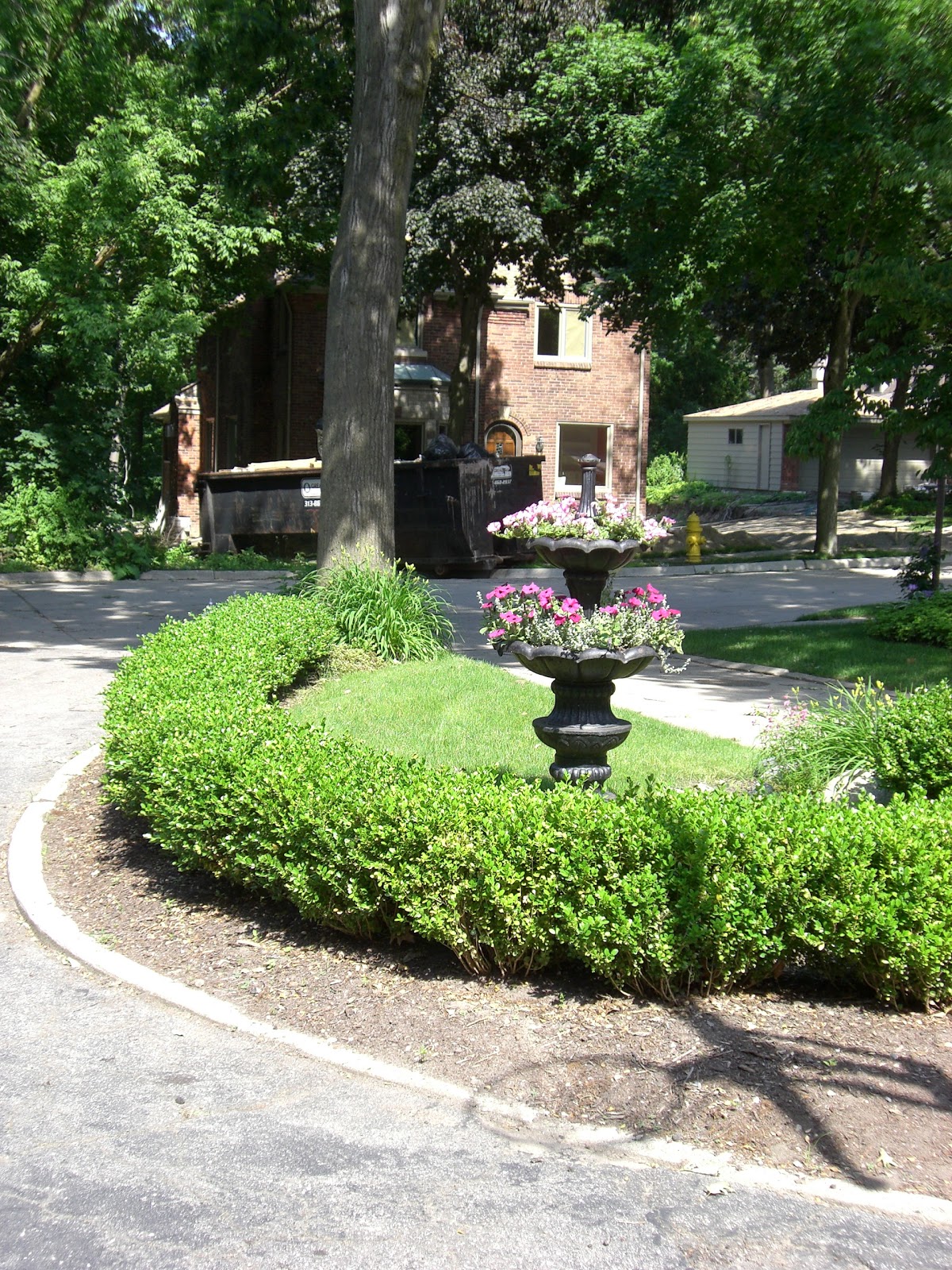 Dwarf English Boxwood Hedge Around Front Porch Along Front Walk