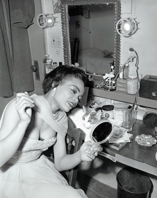 Amazing Historical Photo of Eartha Kitt in 1952 