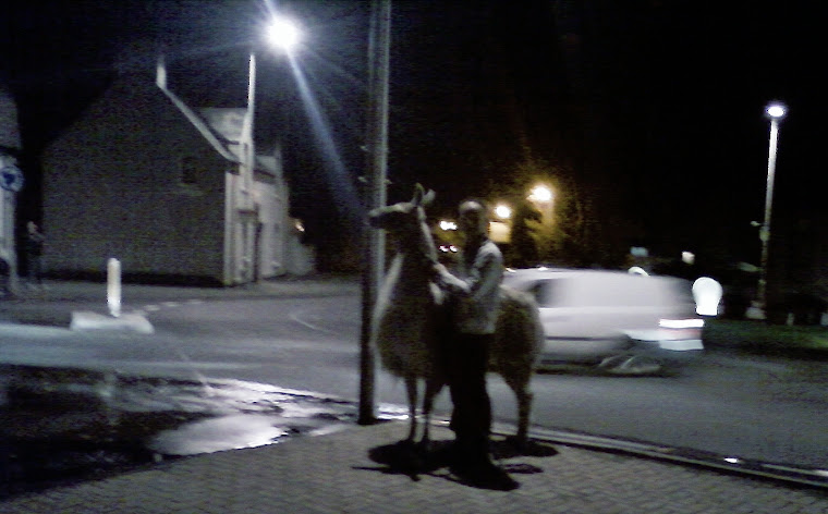 Stornoway trek can be at night.