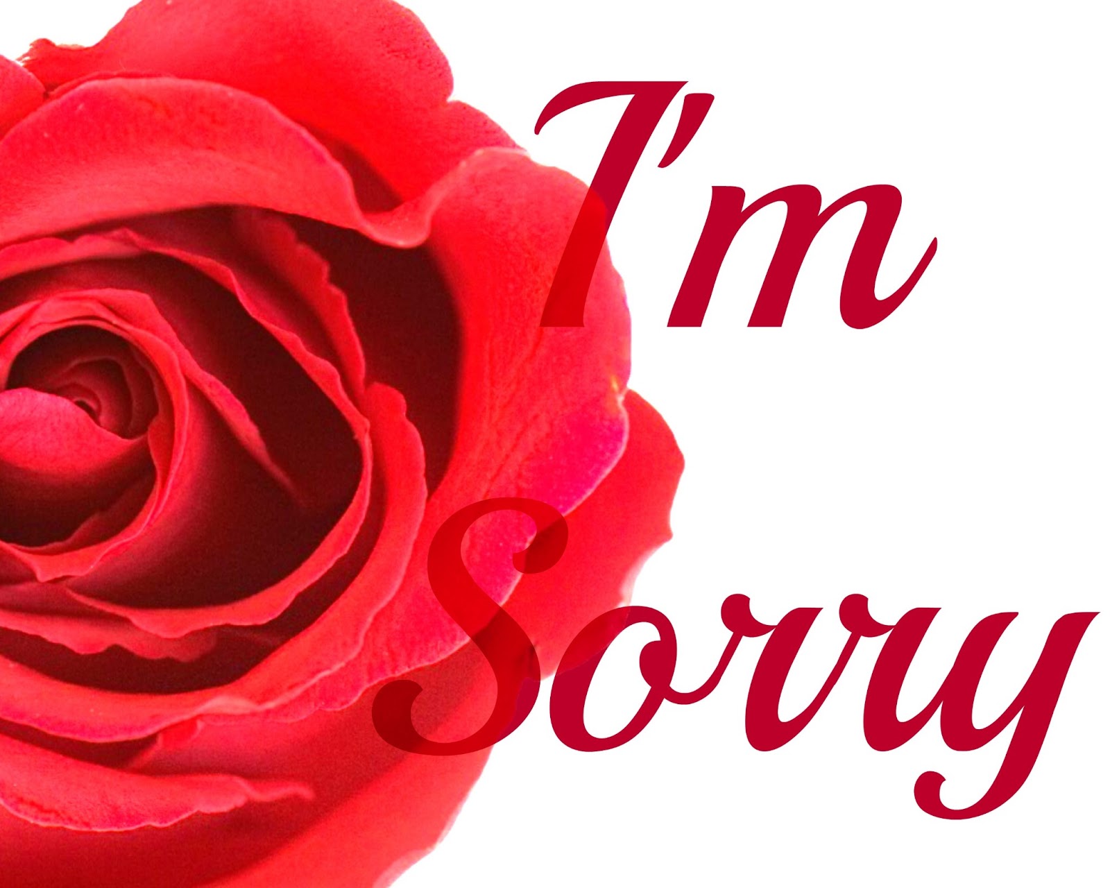 CJO Photo I'm Sorry Page 1