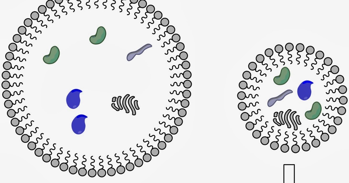 Abiogenesis disproved picture