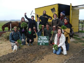 huerta biointensiva