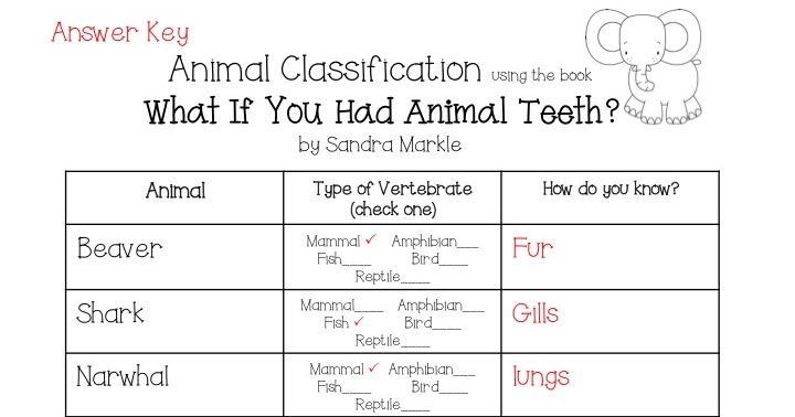 animal worksheet: NEW 424 ANIMAL ADAPTATIONS WORKSHEET MIDDLE SCHOOL