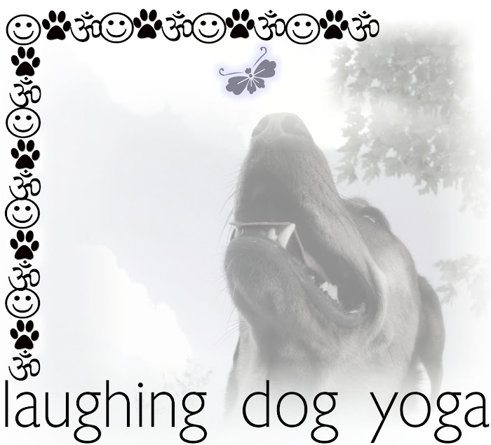 laughing dog yoga