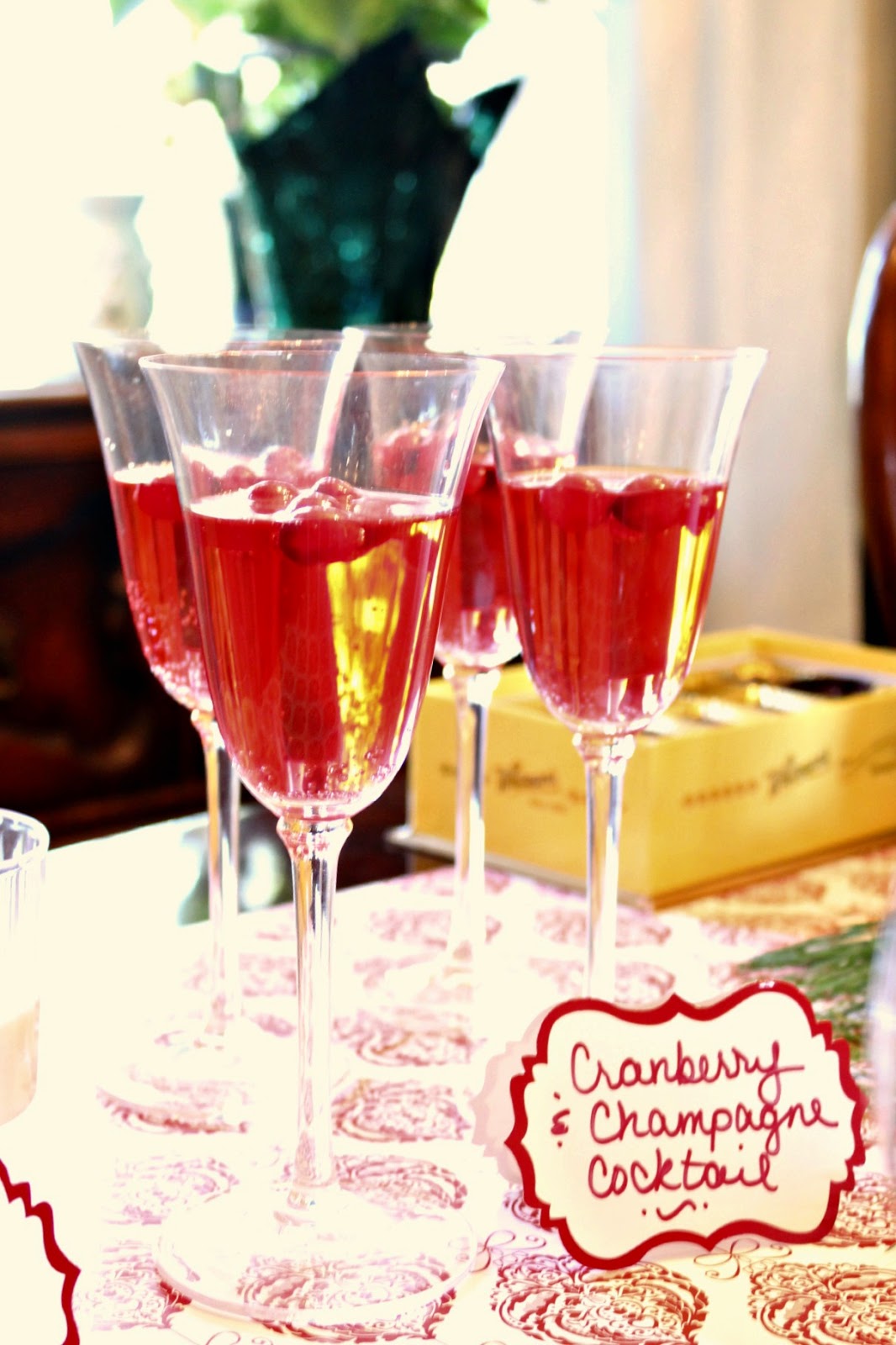 Holiday Drink Cranberry Champagne Cocktail Days of Chalk and Chocolate