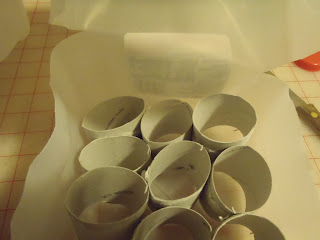 Toilet Paper Roll Seed Planter