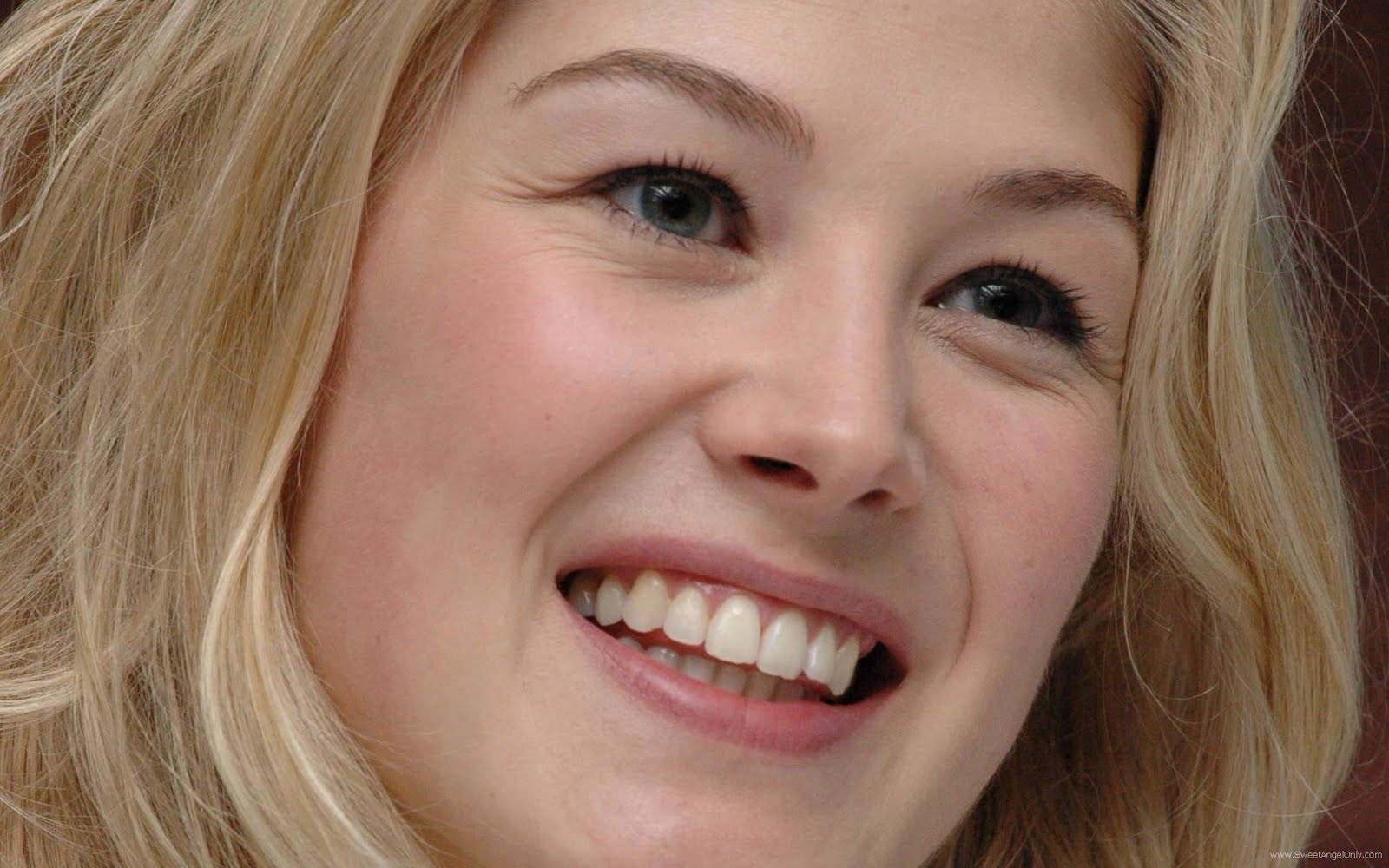 Rosamund_Pike_Click on the Image for Larger View