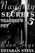 Naughty Secrets 5: Teacher's Pet