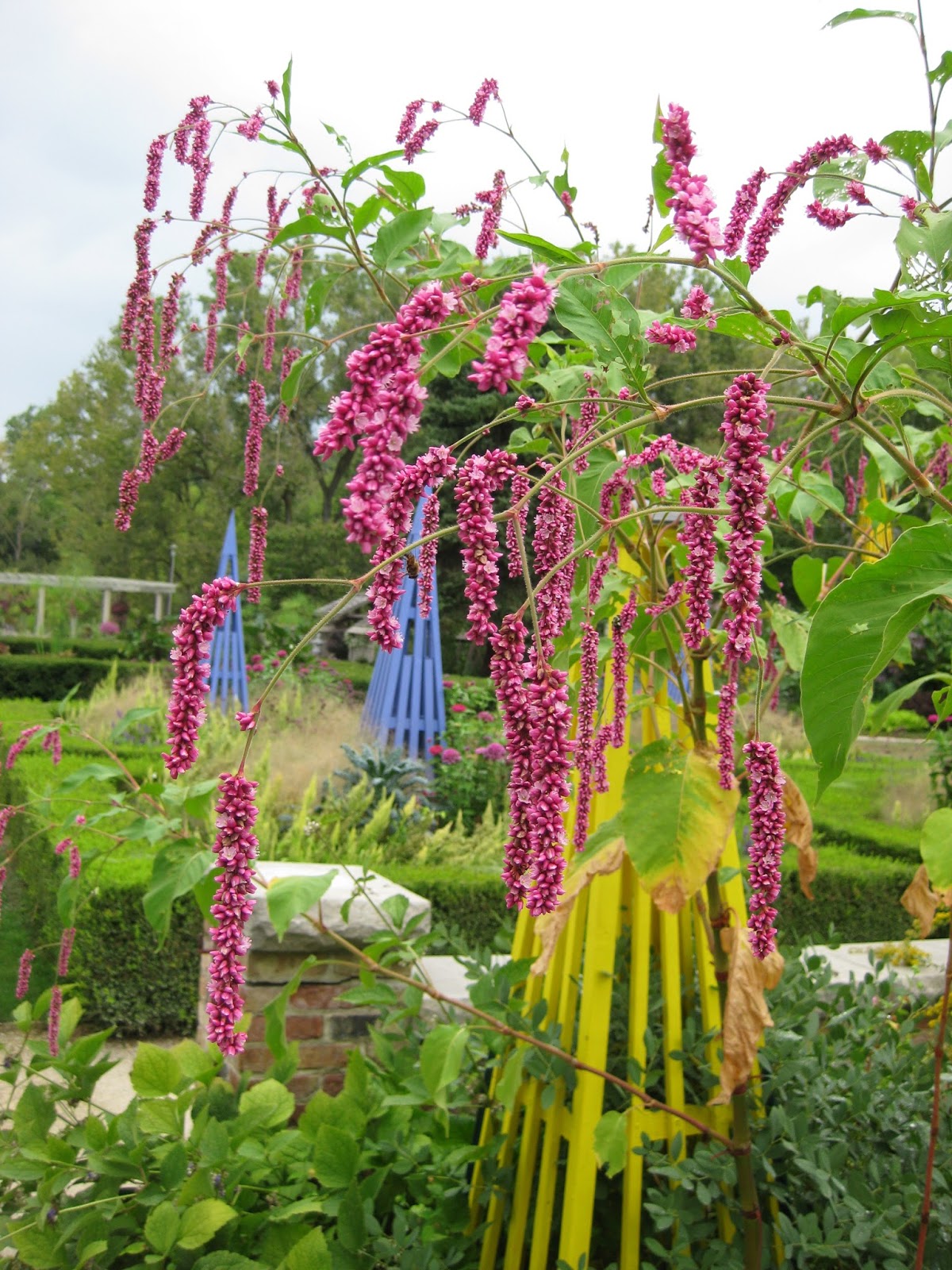 Rotary Botanical Gardens - Hort Blog: Productive Day With Wimpy Drizzle