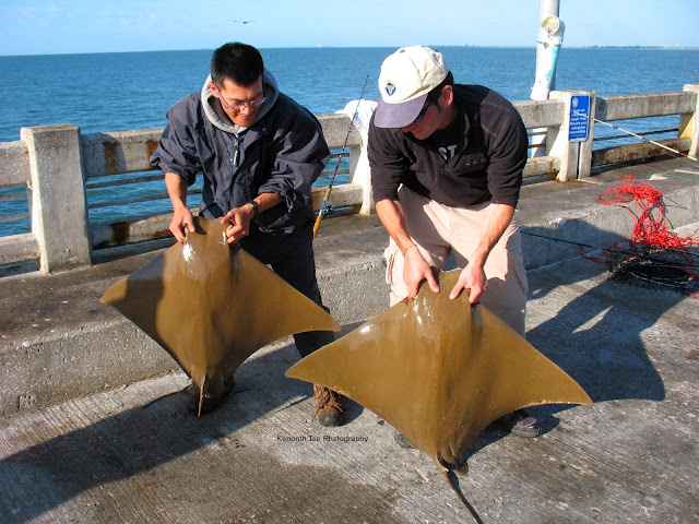 [Image: IMG_0831_post.jpg]