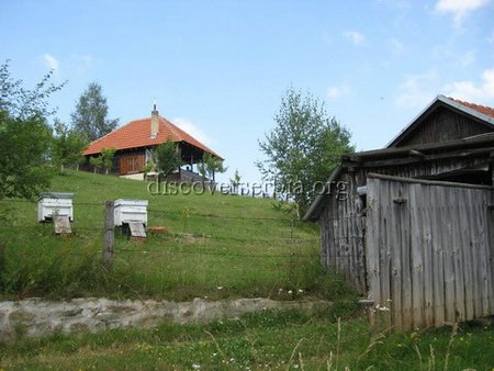 Vlasinsko Jezero Lake