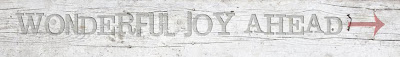 Wonderful Joy Ahead