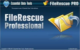 FileRescue Pro 4.4 Build 72 ML Portable