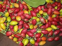 Cara Membuat Emping Melinjo Beserta Cara Menggoreng.agar Renyah Cara Membuat Emping Melinjo Beserta Cara Menggoreng Cara Membuat Emping Melinjo Beserta Cara Menggoreng.agar Renyah