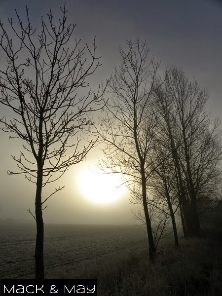 winter morning