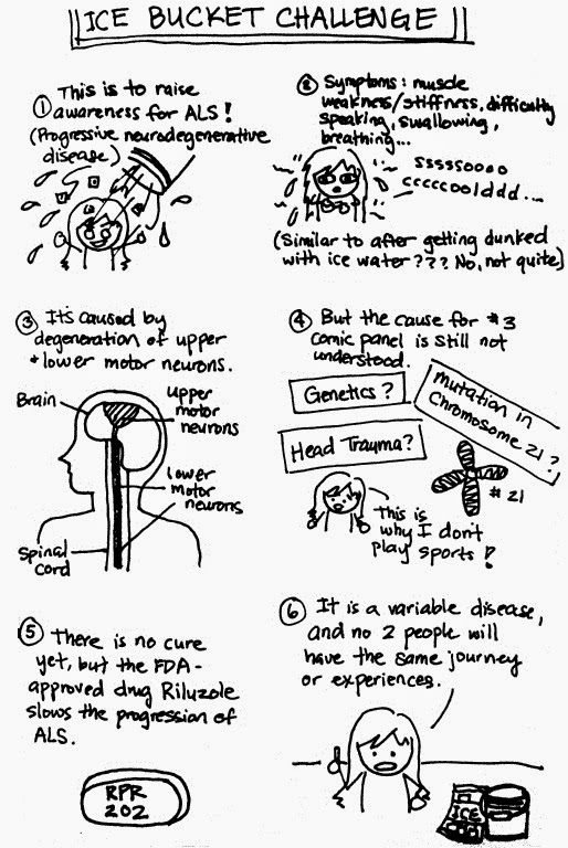 Where's Cheese? Ice Bucket Challenge